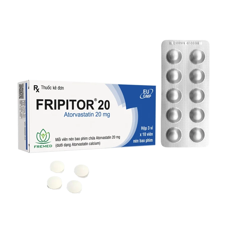 FRIPITOR 20