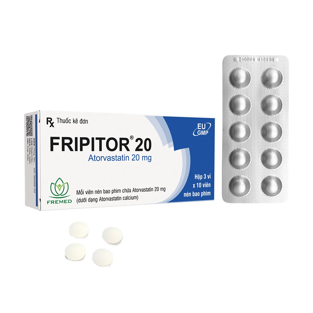 FRIPITOR 20